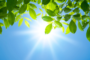 Sunshine For Healthy Teeth and Bones